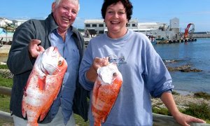 Birkenhead Bootklub Goeie vangstes